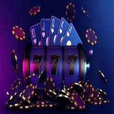 698 bet 698 bet